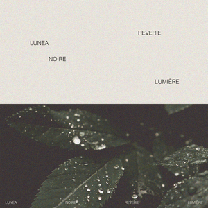 色欲一区二区三区四区
