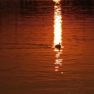色欲一区二区三区四区
