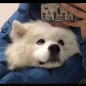 色欲一区二区三区四区
